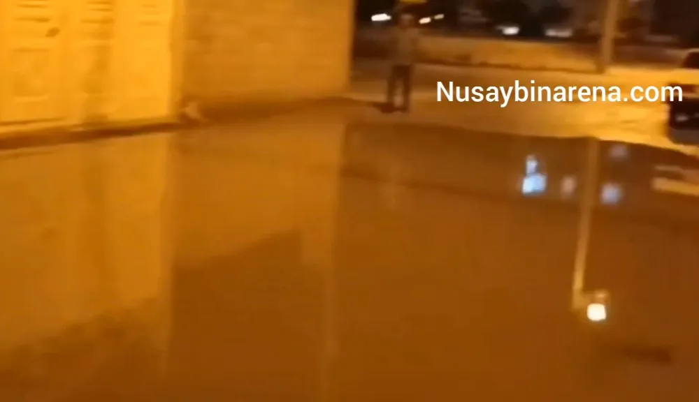 Nusaybin’de yağmur yağınca sokakları göle dönen mahalle sakinleri evden çıkamıyor